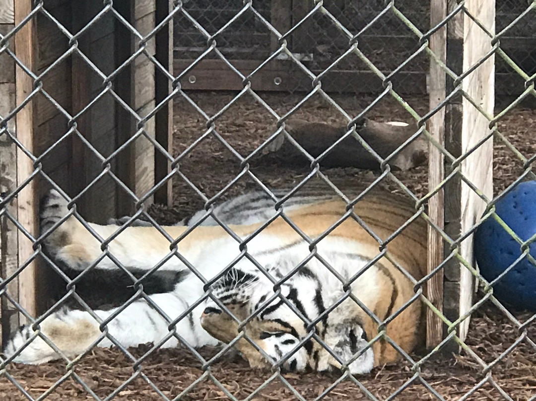 Central Florida Animal Reserve-圣克劳德必去景点