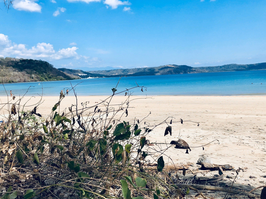 Playa Nacascolo景点图片