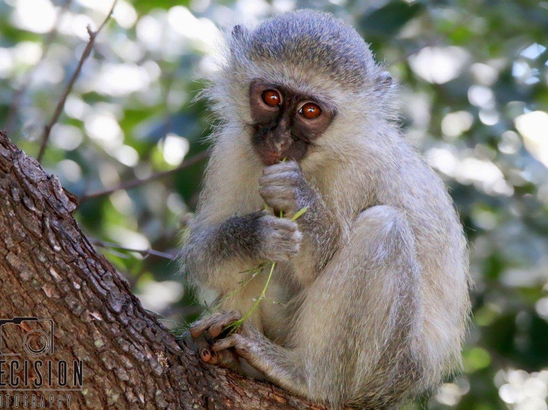 Zimbali Golf Course-德班必去景点