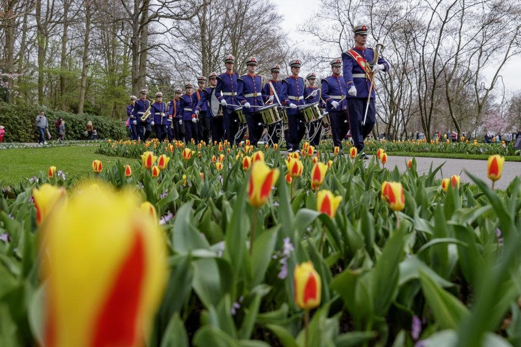 LXRY Tours Amsterdam-海牙必去景点