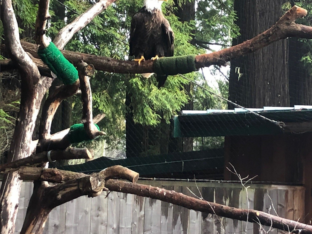 Sequoia Park Zoo景点图片