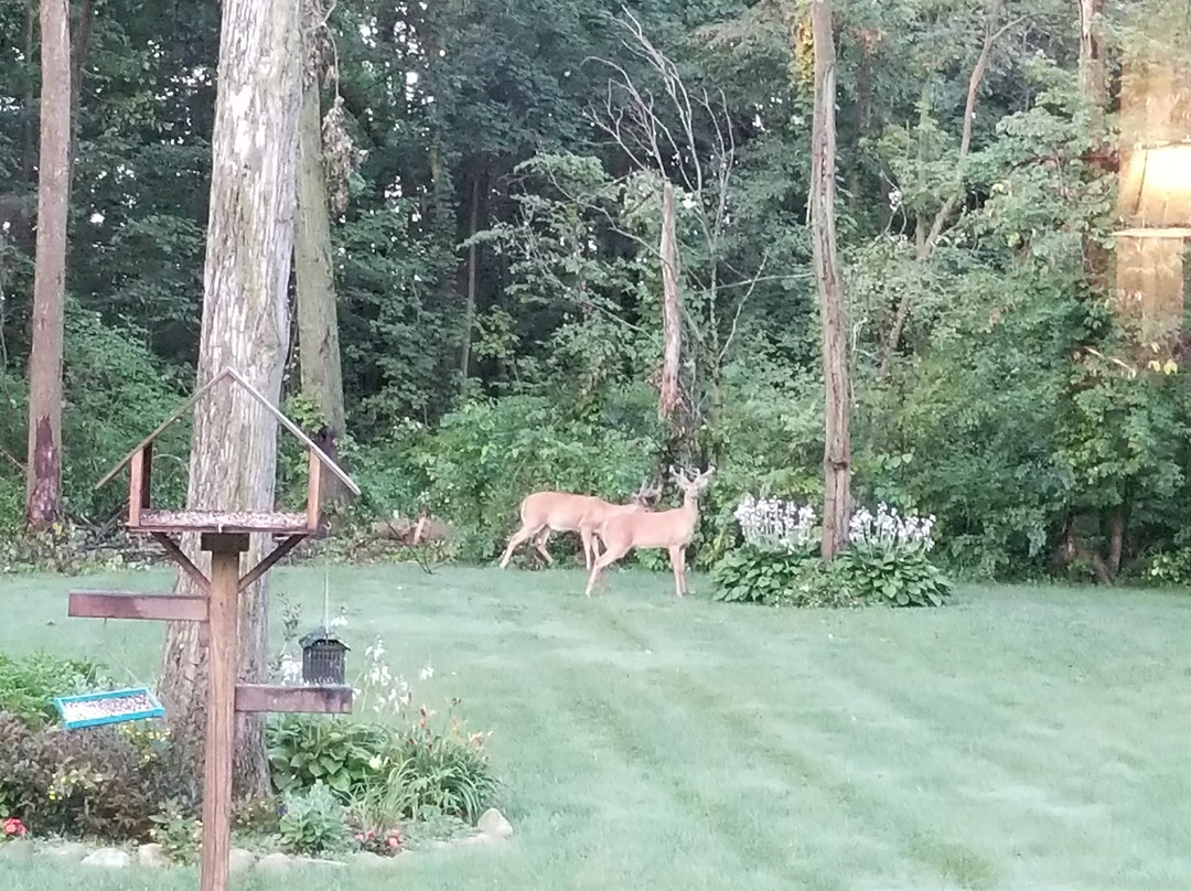 Haisley's Hideaway Bed & Breakfast主图