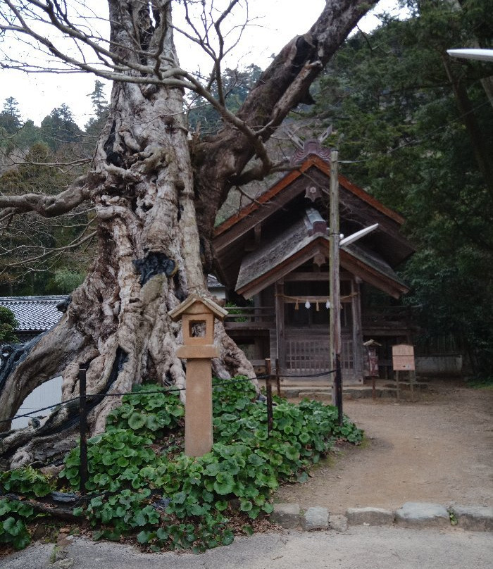 Inochinushi no Yashiro-出云市必去景点
