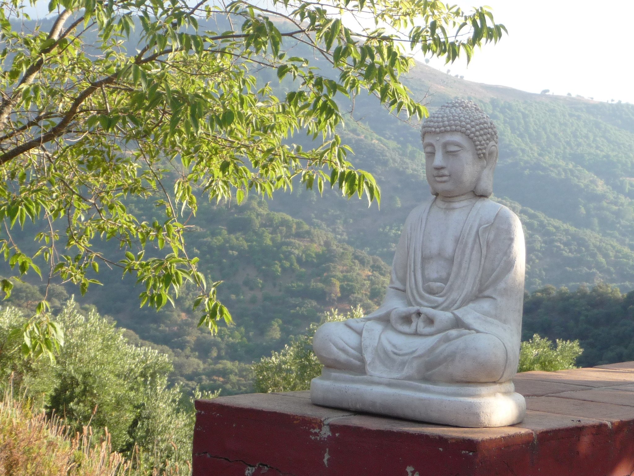 Secret Garden Retreats-官方