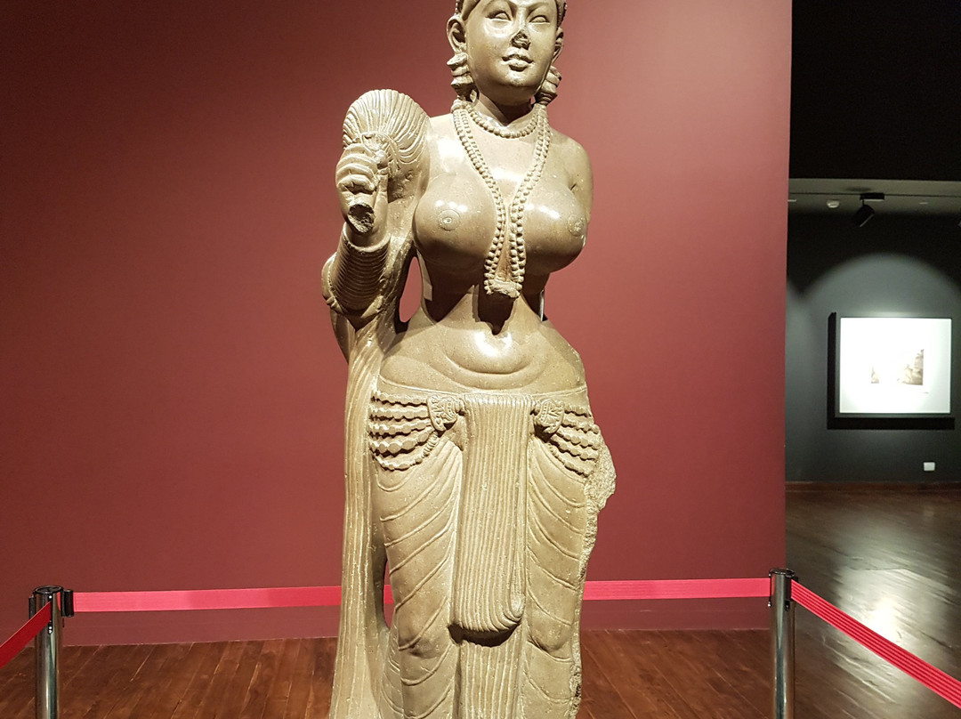 Bihar Museum-巴特那必去景点