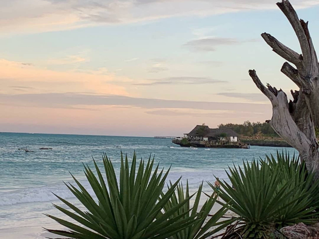 Beach House Michamvi主图