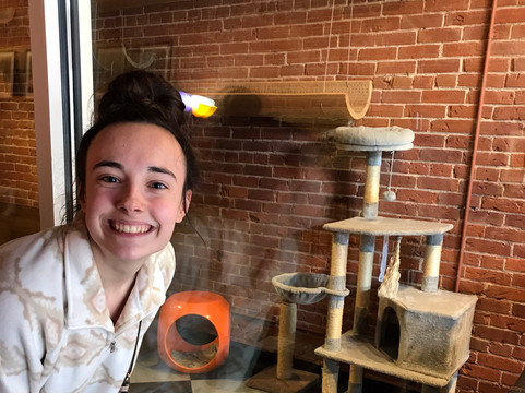 River Kitty Cat Cafe-埃文斯维尔必去景点