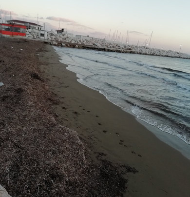 Kucukkuyu Halk Plajı