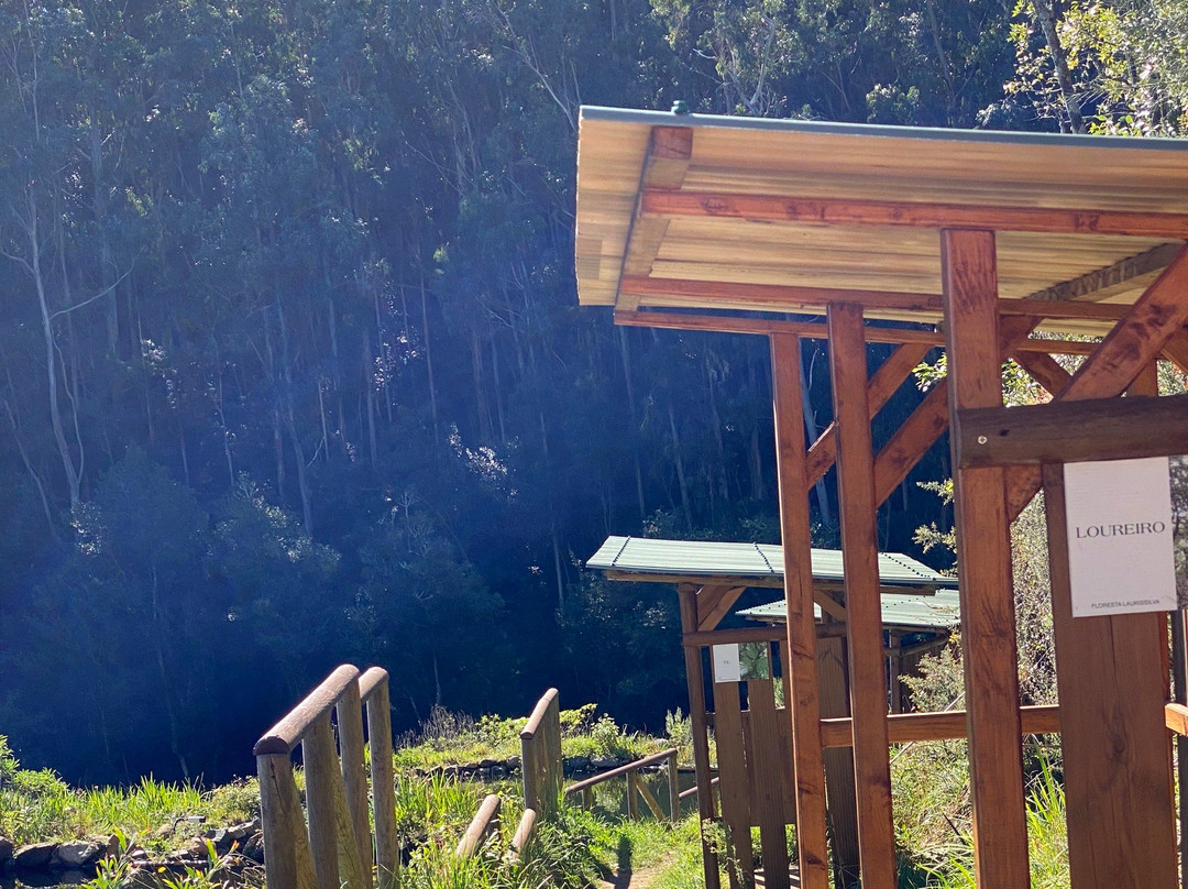 Parque Ribeira Primeira-Santo da Serra必去景点