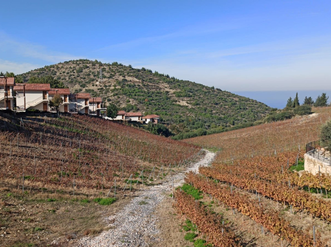 Gillham Vineyard Hotel主图