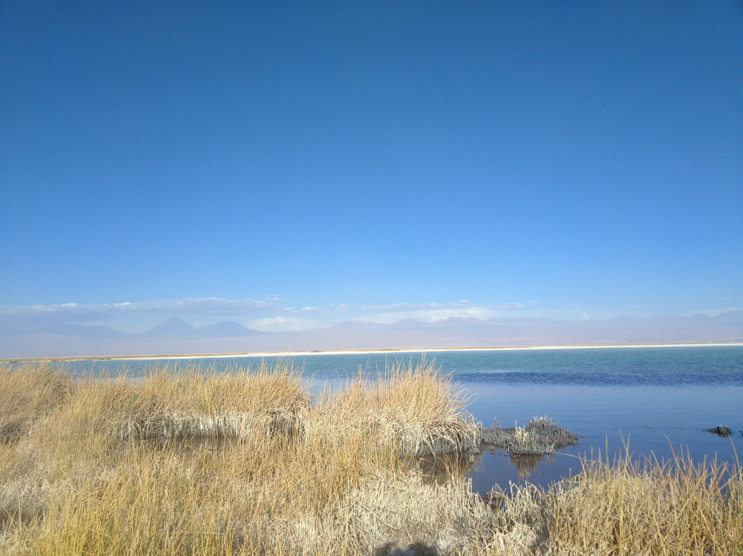 Tebinquinche Lake景点图片