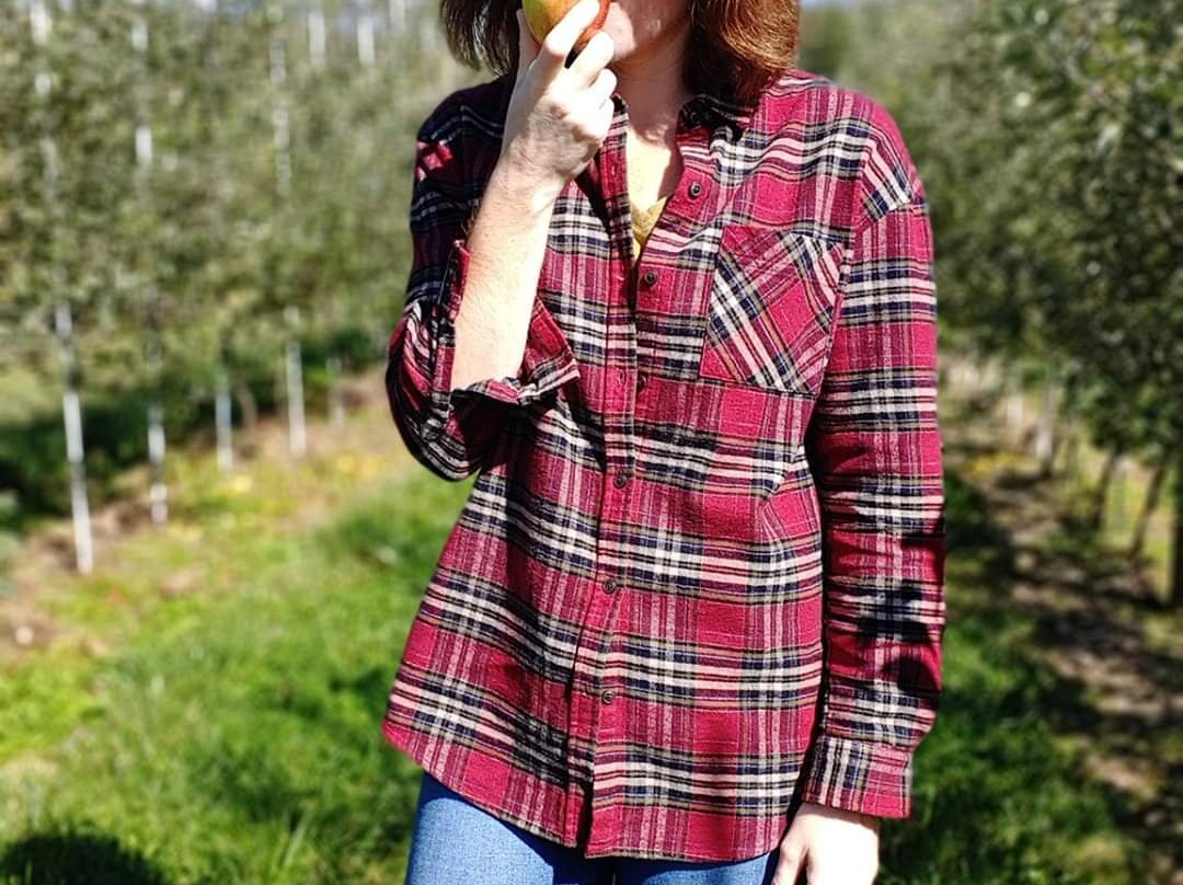 Solebury Orchards景点图片
