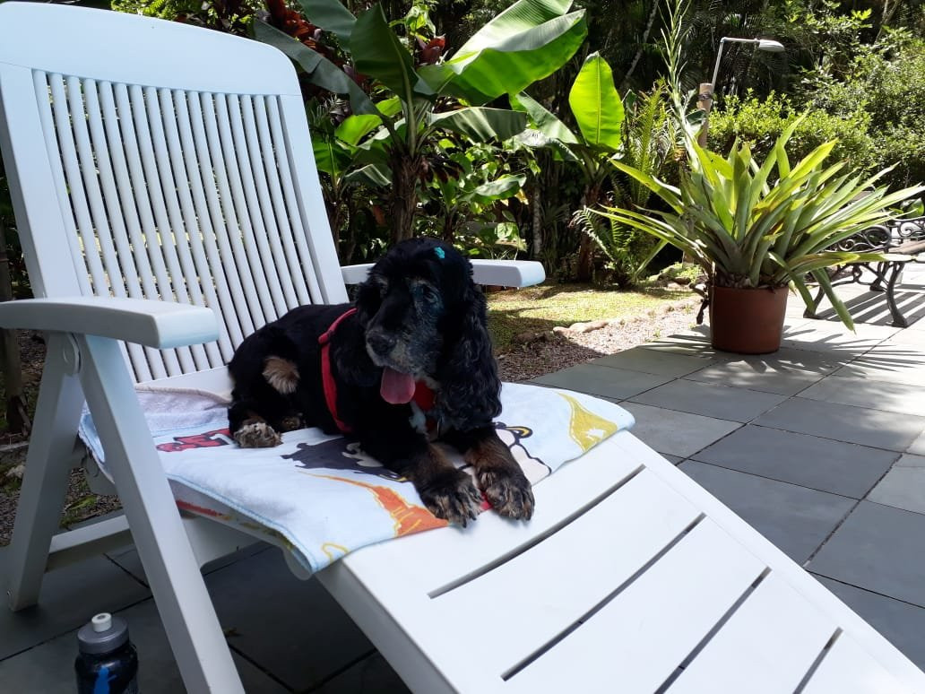 Pousada Graciosa主图