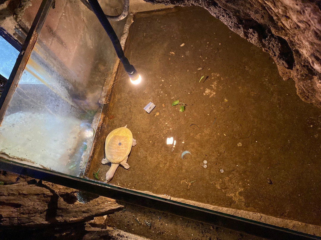 Cave Villa-黑风洞必去景点