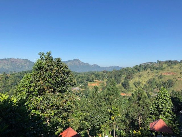 h2o Hotel and Coffee Shop主图