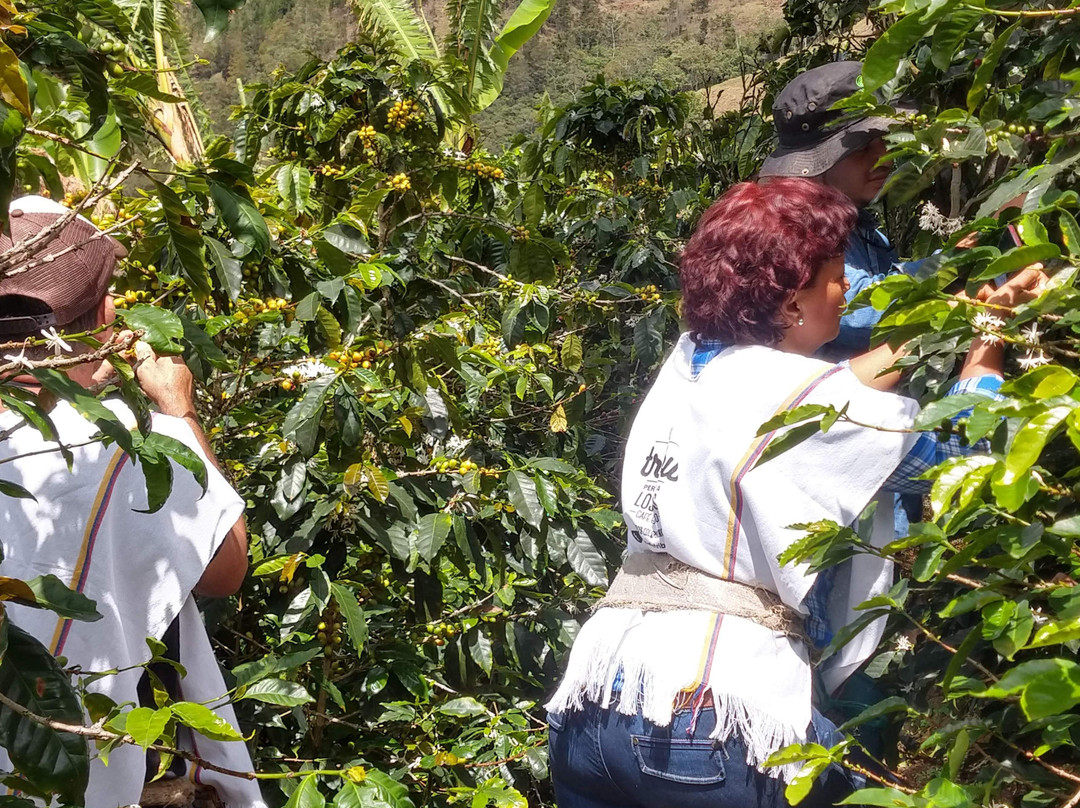 Café Tribu-San Jeronimo必去景点