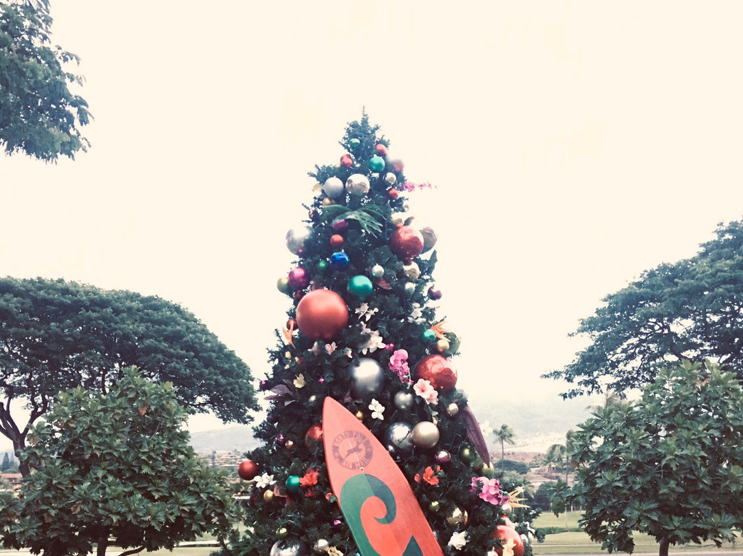 Whaler Inn Beach Club主图