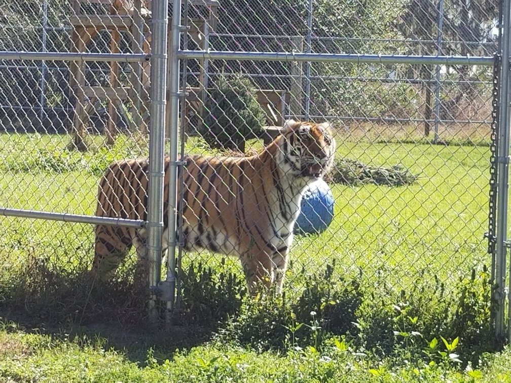 Elmira's Wildlife Sanctuary-Wimauma必去景点