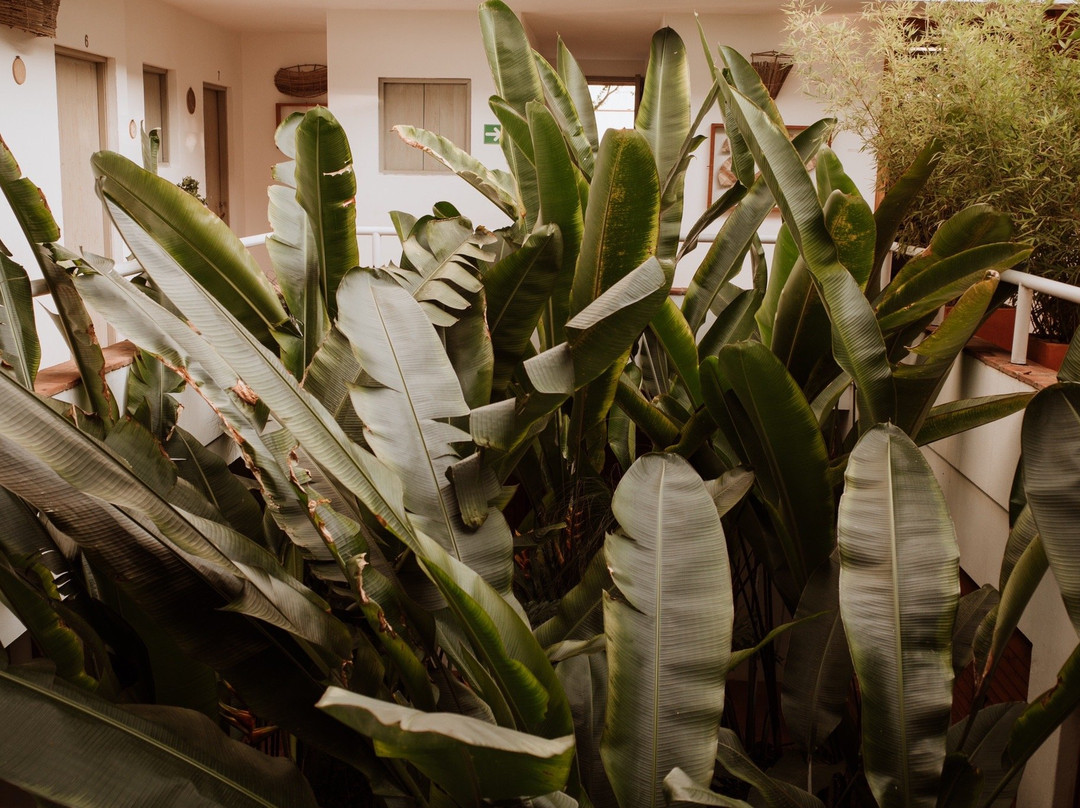 Hotel Alto del Viento主图