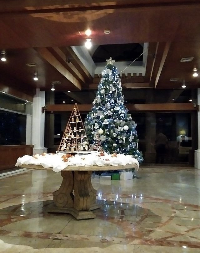 卢克广场酒店主图