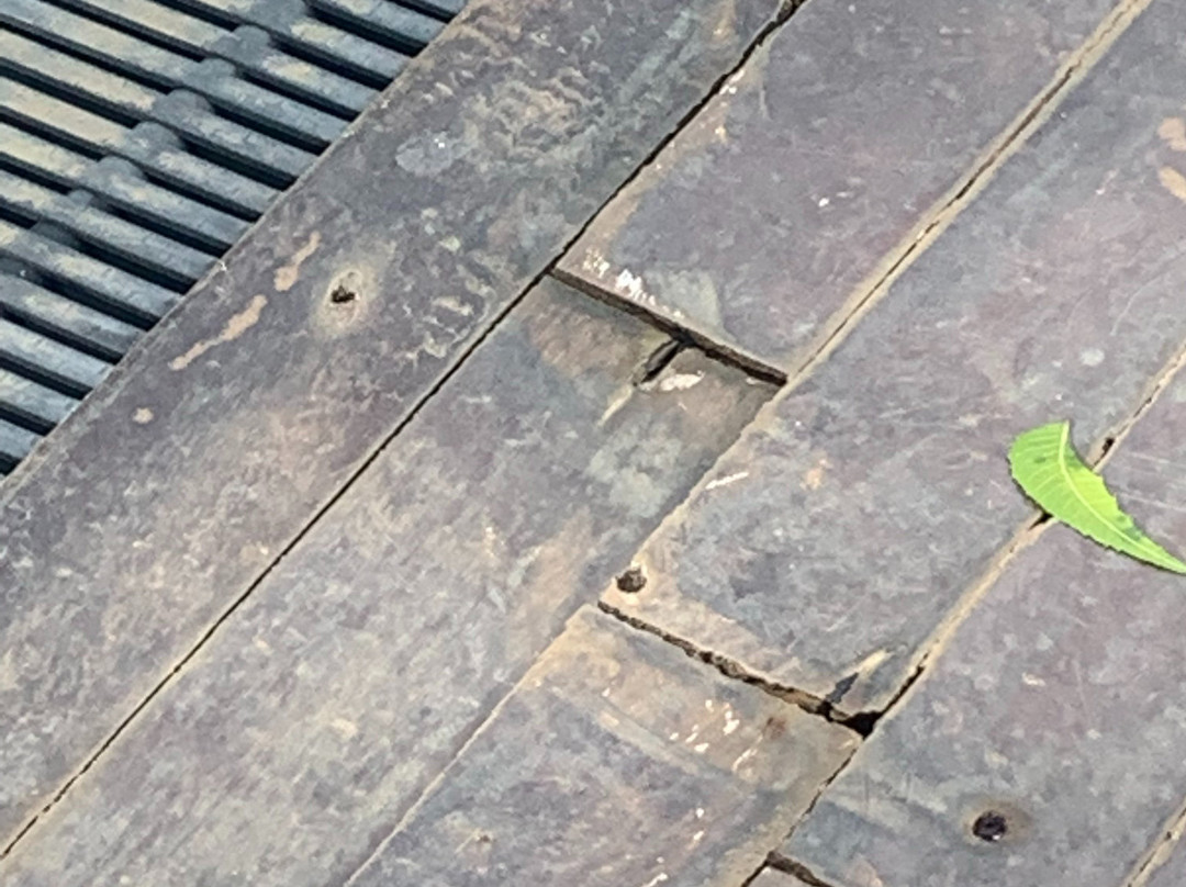 Eighth Wonder Resort主图