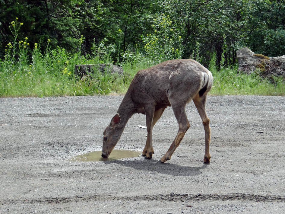 Seton Lake-Lillooet必去景点