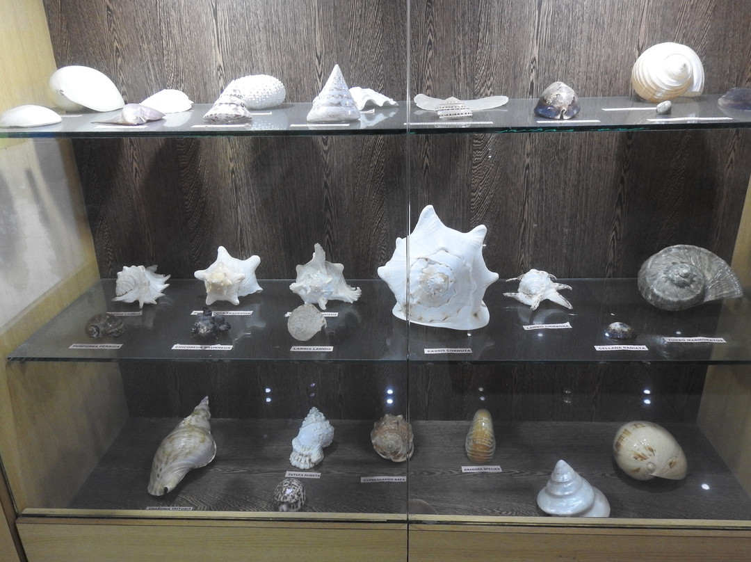 Samudrika Marine Museum景点图片