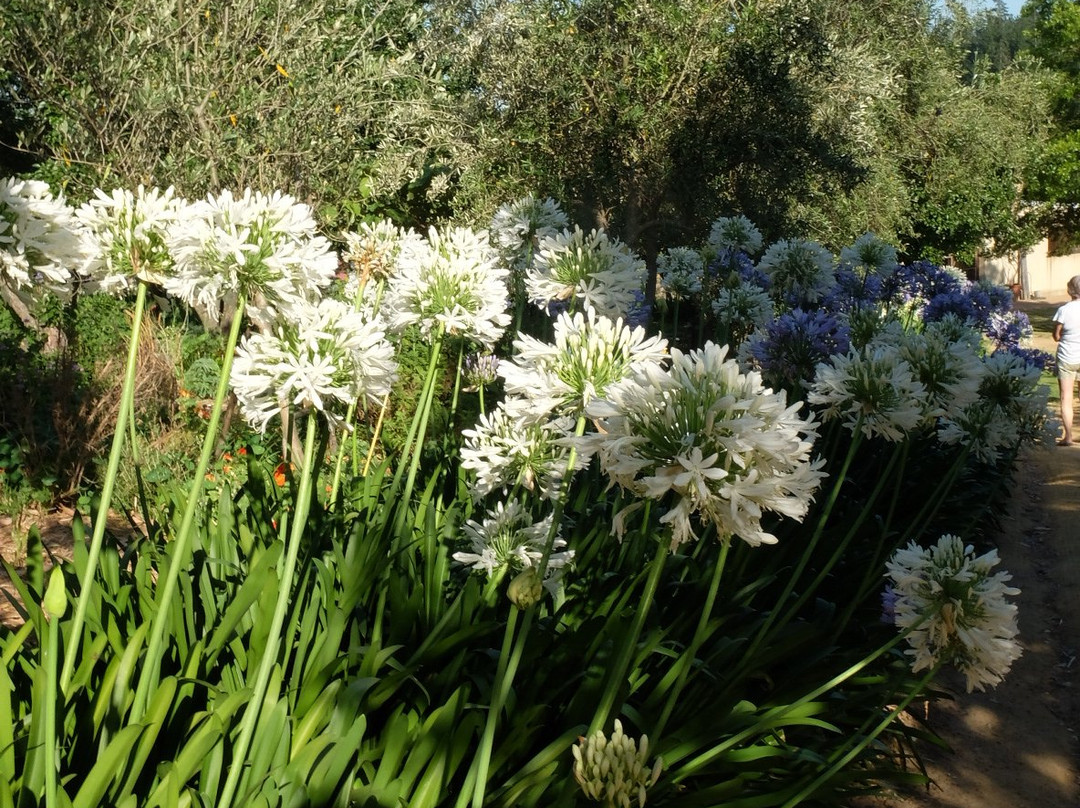 Rozendal Guest Farm主图