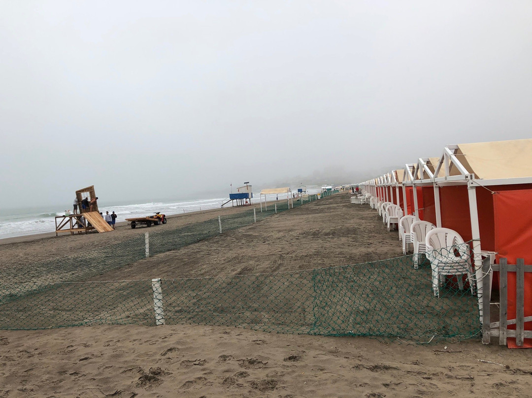 Punta Mogotes-马德普拉塔必去景点