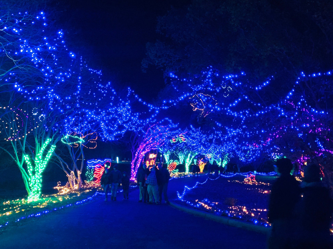 Norfolk Botanical Garden-诺福克必去景点