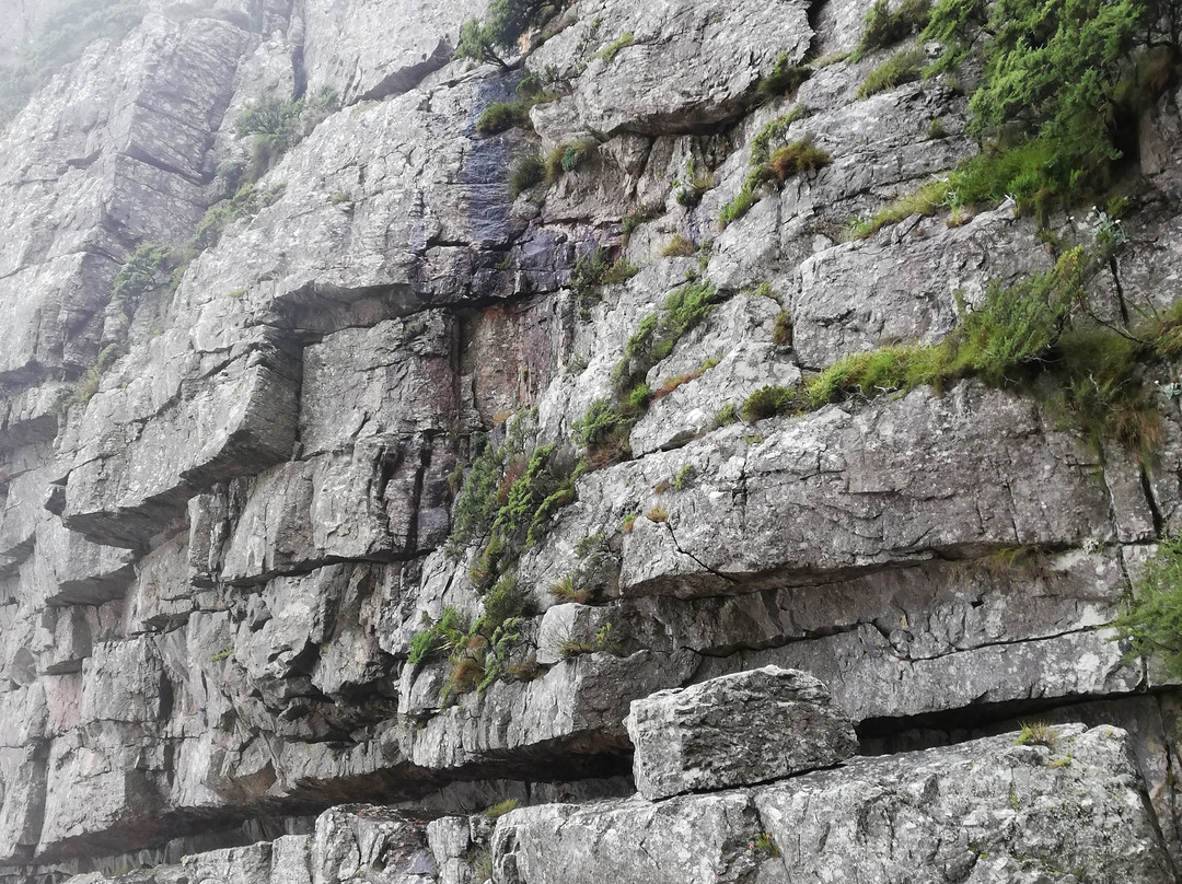 Platteklip Gorge-桌山国家公园必去景点