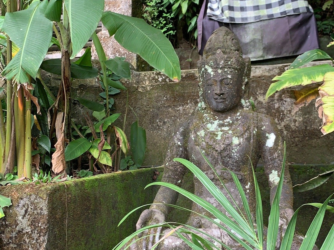 阿旺阿旺别墅主图