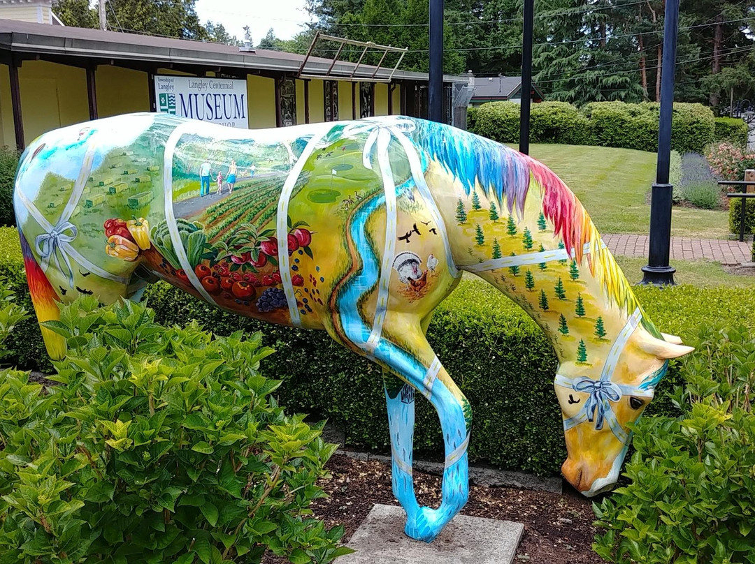 Beautiful Vancouver Explorer Tour & Shuttle-温哥华必去景点