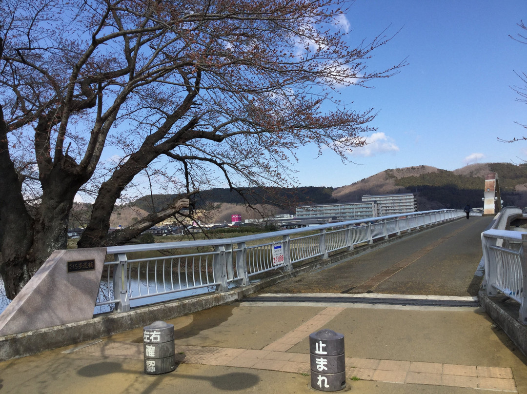 Sakurahodo Bridge-柴田町必去景点