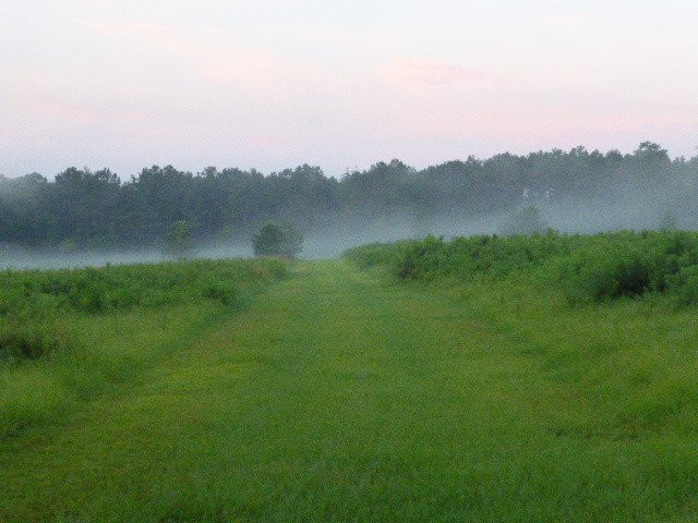 JR Alford Greenway Trail-塔拉哈西必去景点