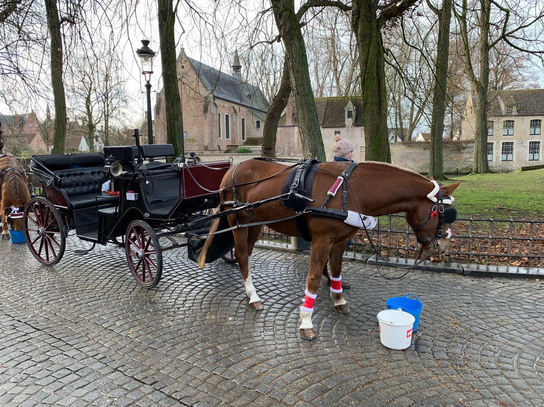 Horse Drawn Carriage Tours景点图片