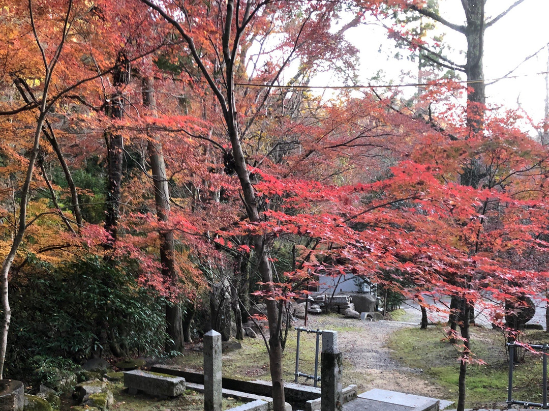 Kabusanji Temple-高规市必去景点