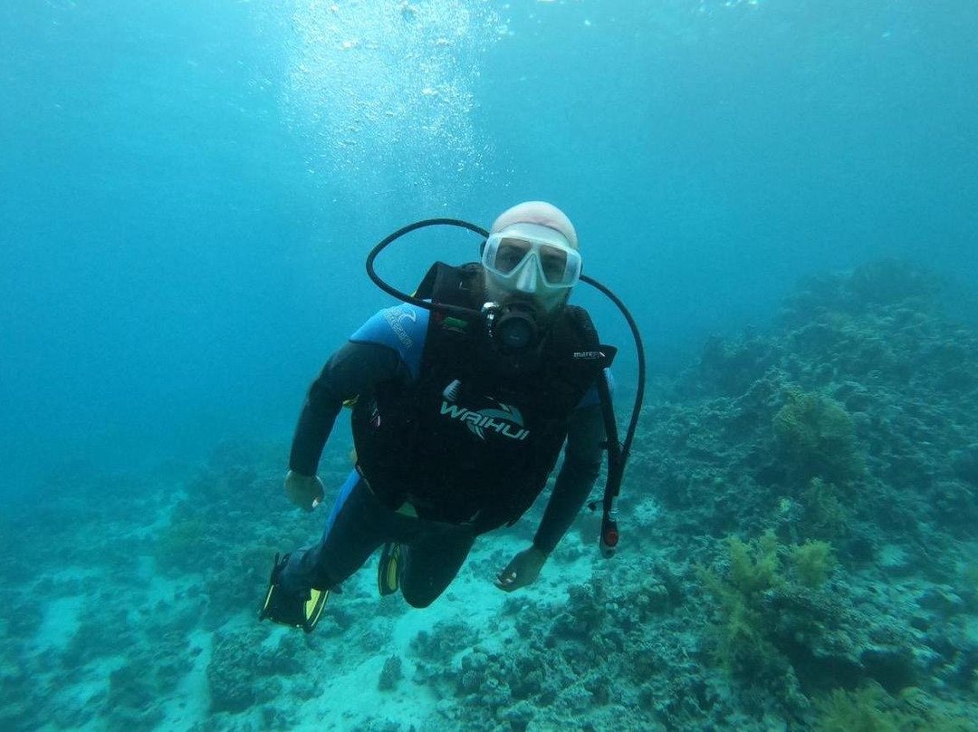 Jordan Frogman Aqaba-亚喀巴必去景点