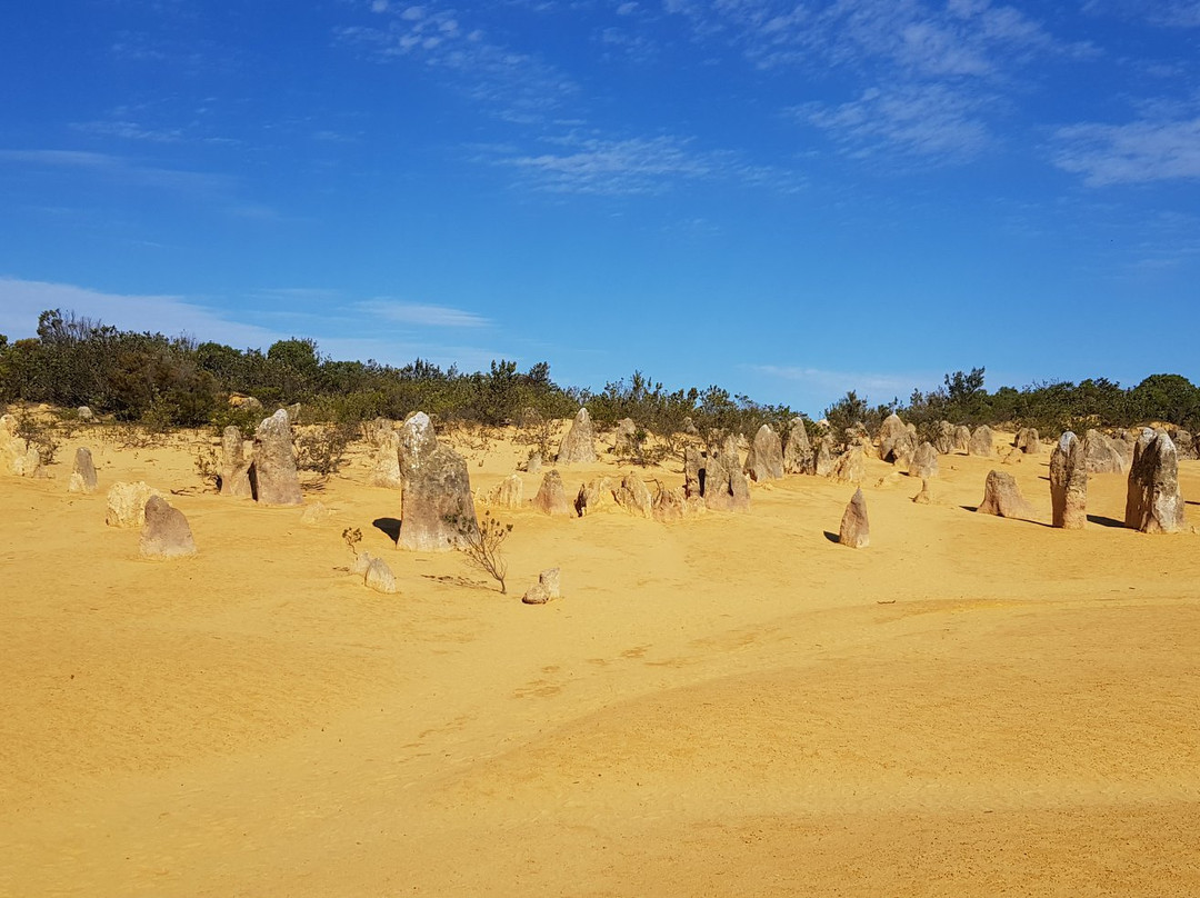 Pinanacles Desert-Nambung必去景点