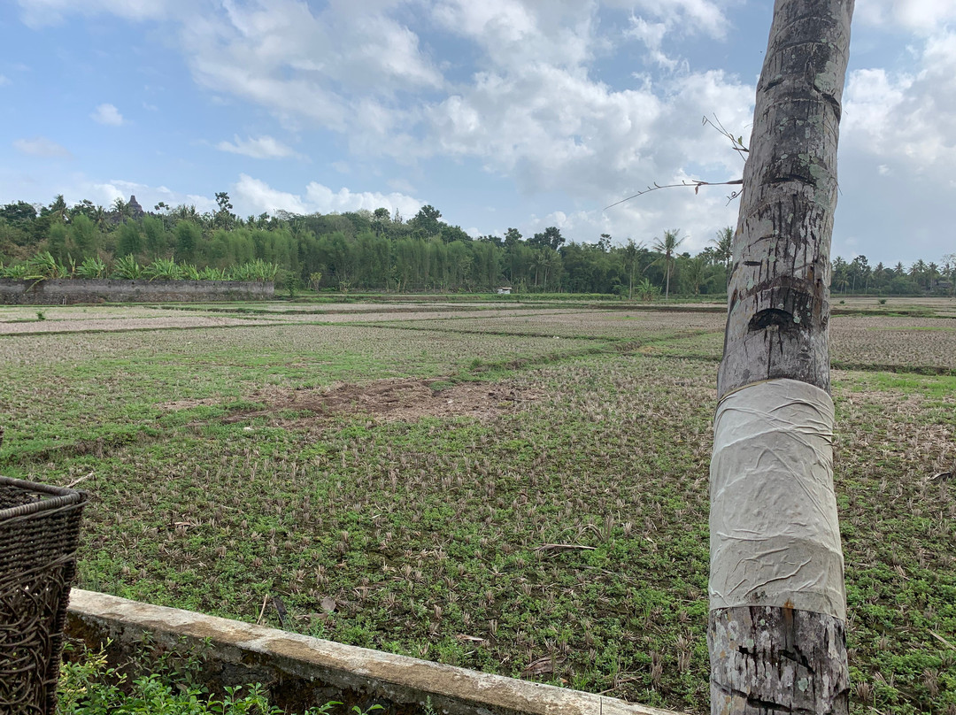 Gopalan Borobudur主图