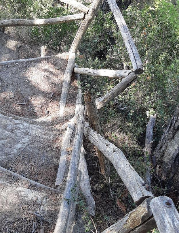 德律阿德斯酒店主图