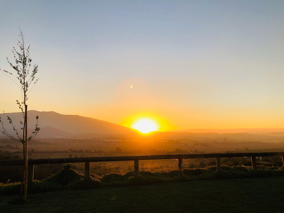 Villas Toscanas主图