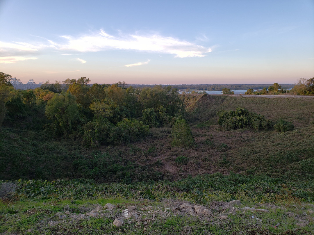 Natchez Visitor Center景点图片
