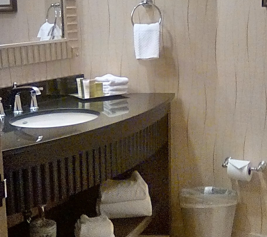 Hilton Rosemont/Chicago O'Hare主图