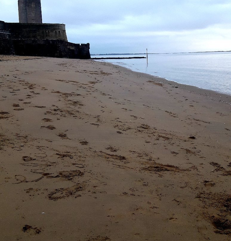 Grande Plage景点图片