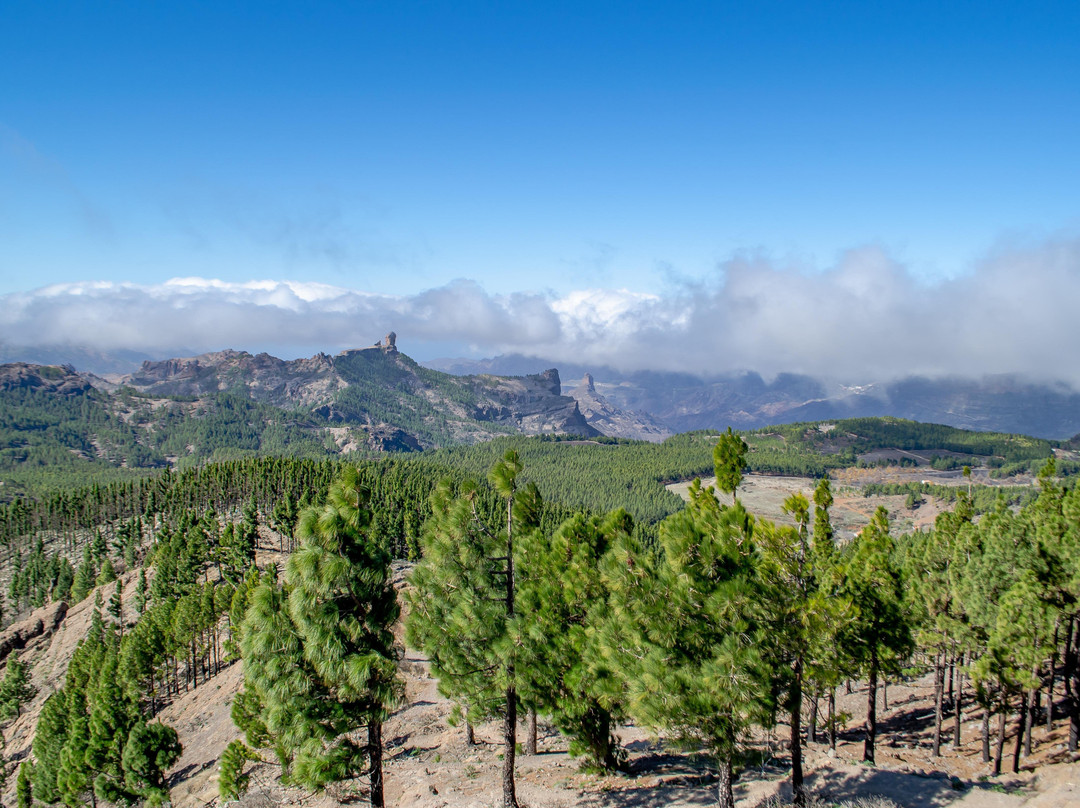 Epic Tours Gran Canaria-大加那利岛拉斯帕尔马斯必去景点