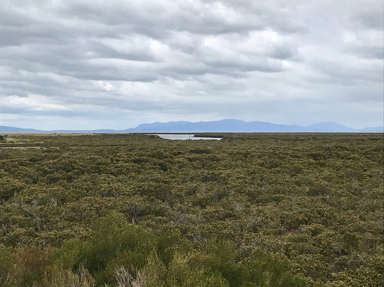 Port Franklin Public Purposes Reserve-Port Franklin必去景点