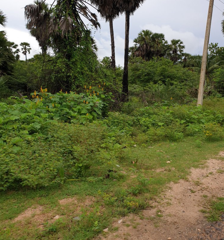 Salli Sri Muthumari Amman Temple-Trincomalee必去景点