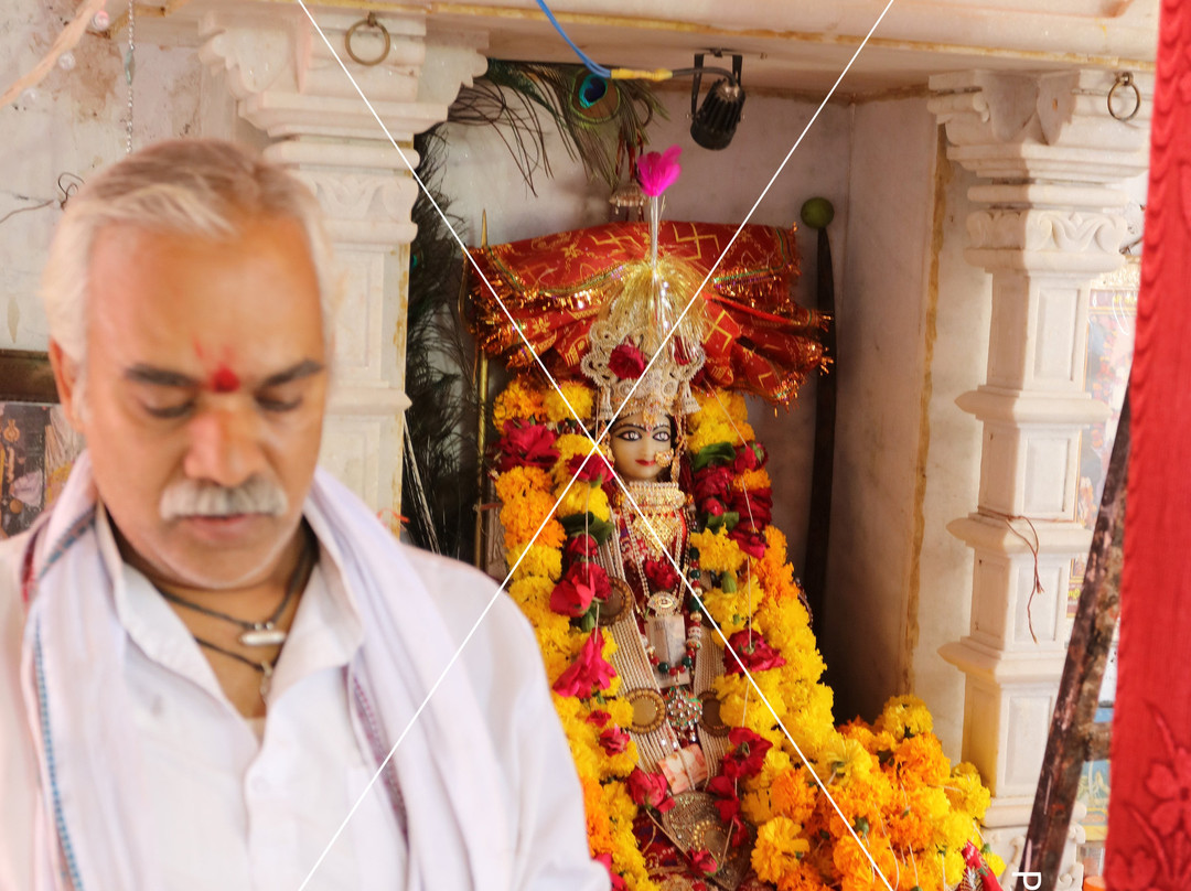 Mansapurna Karni Mata Ropeway景点图片