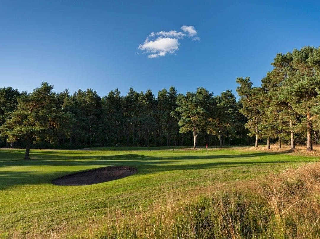 Ladybank Golf Club-Ladybank必去景点